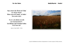 Vor-der-Ernte-Greif.pdf